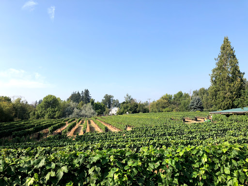 Winery «Bethany Vineyard & Winery», reviews and photos, 4115 NE 259th St, Ridgefield, WA 98642, USA