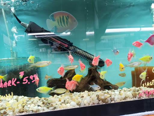 Tropical Fish Store «Aquariums By JJ», reviews and photos, 33 Hamburg Turnpike, Riverdale, NJ 07457, USA