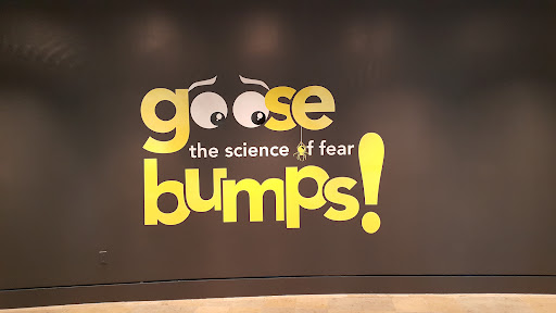 Planetarium «Fernbank Science Center», reviews and photos, 156 Heaton Park Dr, Atlanta, GA 30307, USA