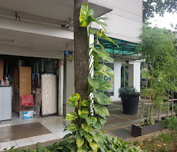 Kalibata's 120 Year Old Mahoni Tree photo