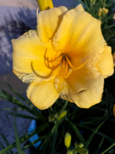 Home Improvement Store «The Home Depot», reviews and photos, 899 County St, Taunton, MA 02780, USA