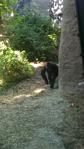 Zoo «Zoomazium», reviews and photos, 601 N 59th St, Seattle, WA 98103, USA