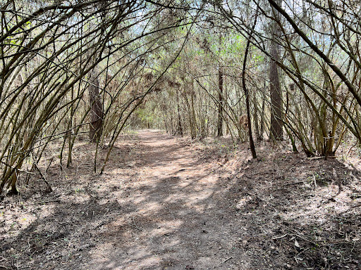 Nature Preserve «Spring Trails Preserve», reviews and photos, Claytons Bend, Spring, TX 77386, USA