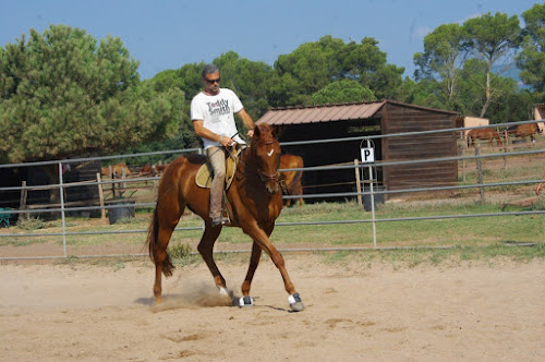 Stéphane Valette Equitation à domicile à Sainte-Maxime