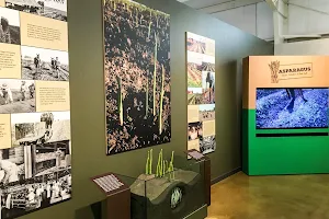 San Joaquin County Historical Museum image