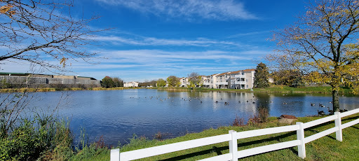 Department Store «Walmart Supercenter», reviews and photos, 1100 S Randall Rd, Elgin, IL 60123, USA