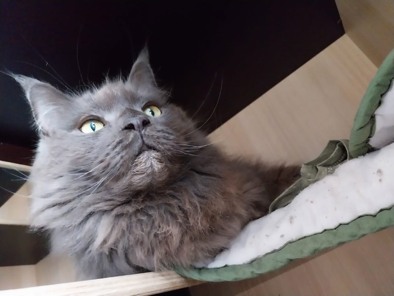 Photo n° 6 de l'avis de Lisa.O fait le 29/11/2023 à 10:08