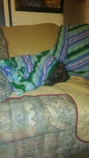 Craft Store «Michaels», reviews and photos, 1385 S Washington St, North Attleborough, MA 02760, USA