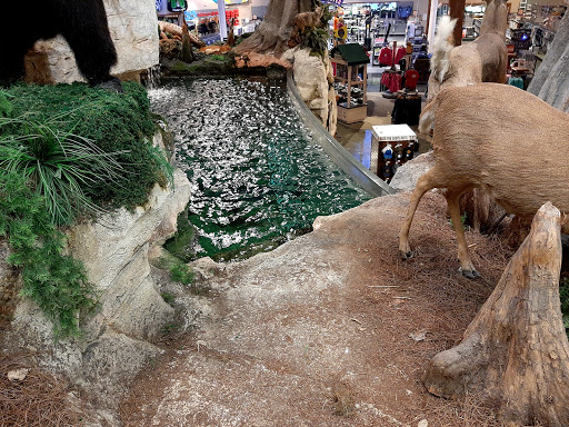 Sporting Goods Store «Bass Pro Shops», reviews and photos, 10040 Gulf Center Dr, Fort Myers, FL 33913, USA