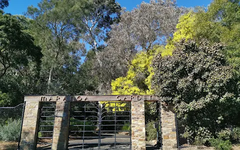 Maranoa Botanic Gardens image