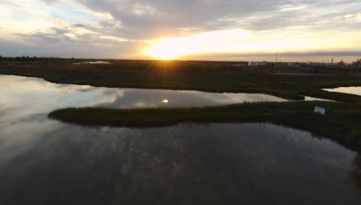 Golf Course «Bayou Golf Course», reviews and photos, 2800 Ted Dudley Dr, Texas City, TX 77591, USA