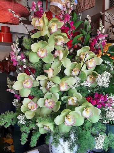 Avaliações doBorrifo-comércio De Flores Lda,o em Sintra - Floricultura