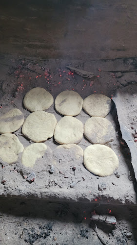 Delicias Caseras - Curicó