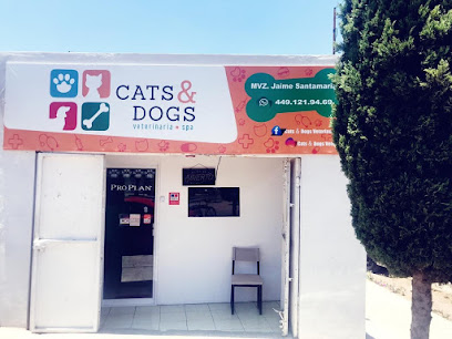 Cats & Dogs veterinaria spa