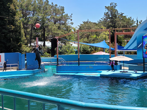 Amusement Park «Six Flags Discovery Kingdom», reviews and photos, 1001 Fairgrounds Dr, Vallejo, CA 94589, USA