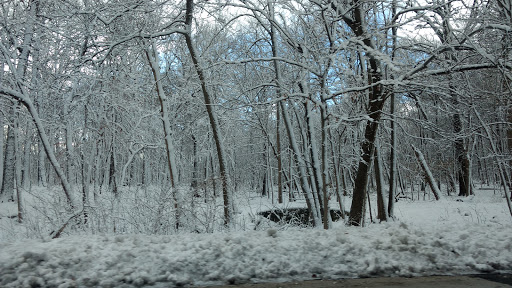 Nature Preserve «Forest Preserves of Cook County», reviews and photos, 9460 S Dee Rd, Park Ridge, IL 60068, USA