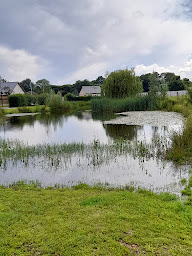 Photo n°62 de Le moulin d'Iville à Iville ()