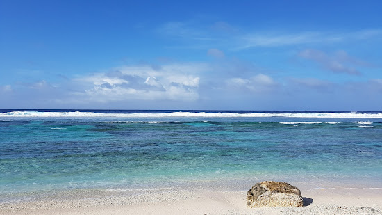 Wing Beach