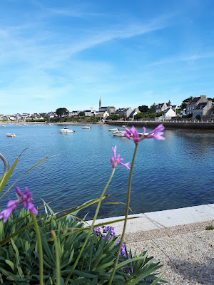 Dr Claire Yvon à Saint-Malo