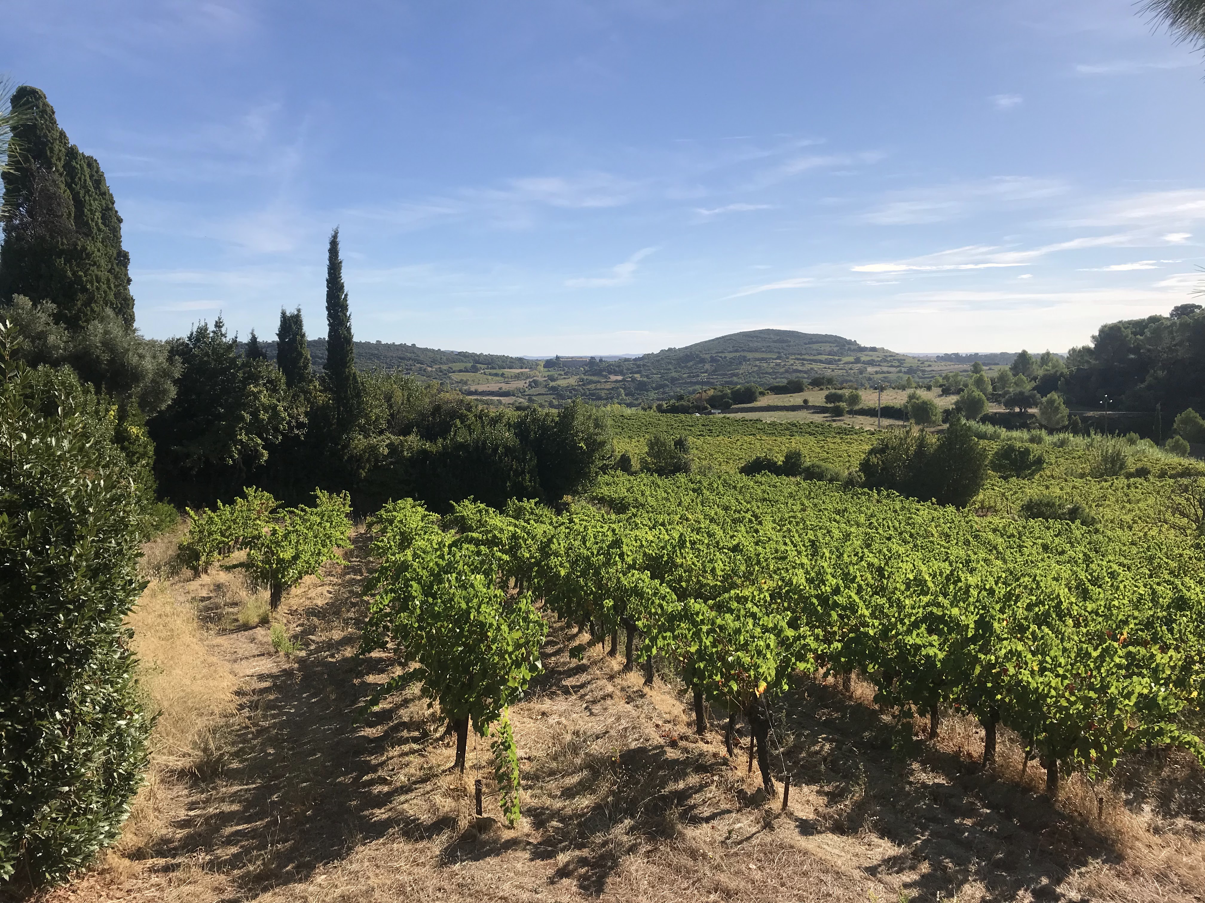 Photo n° 5 de l'avis de Foard.o fait le 23/09/2018 à 17:06