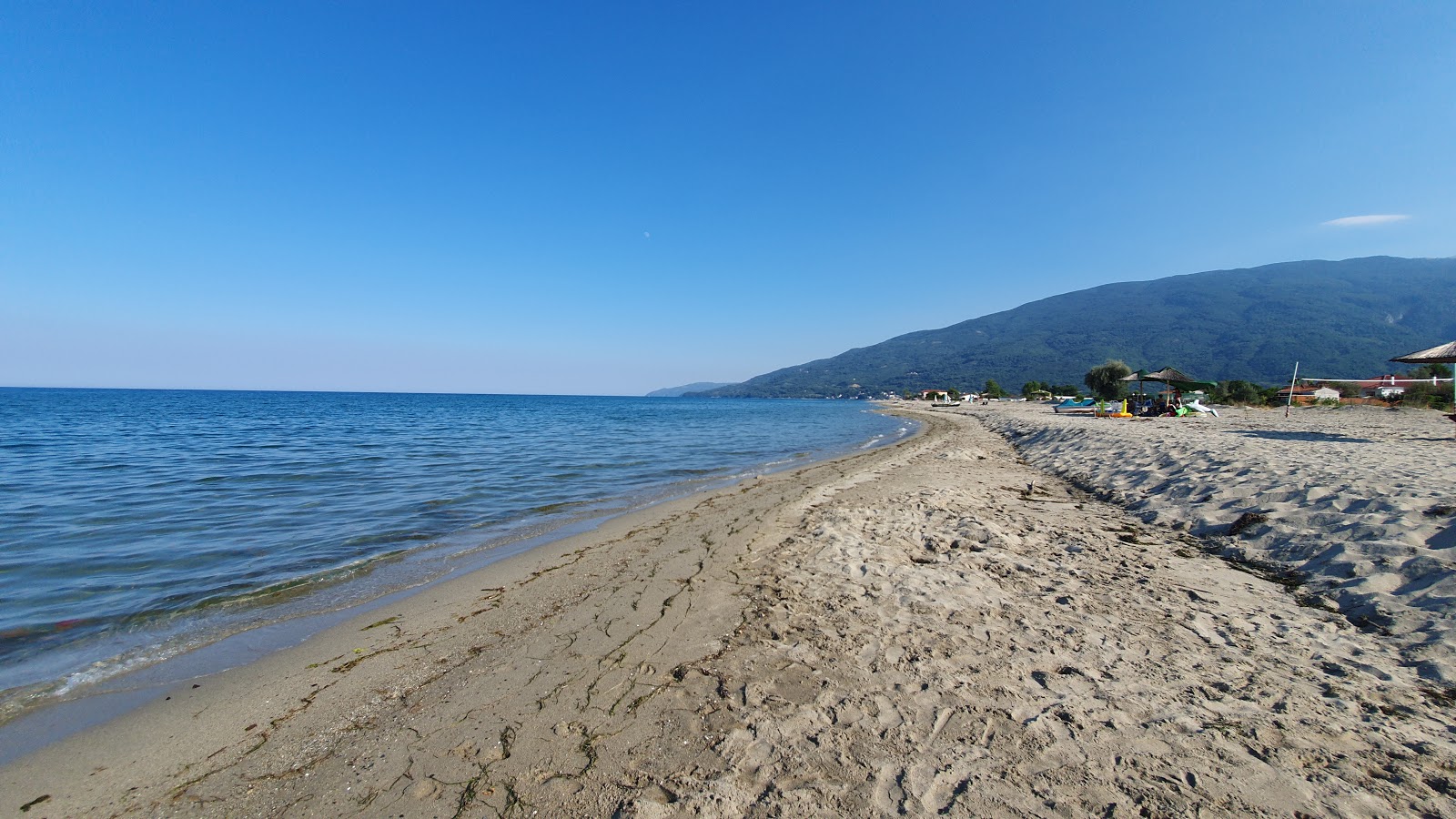 Photo of Alexandrian beach with green water surface