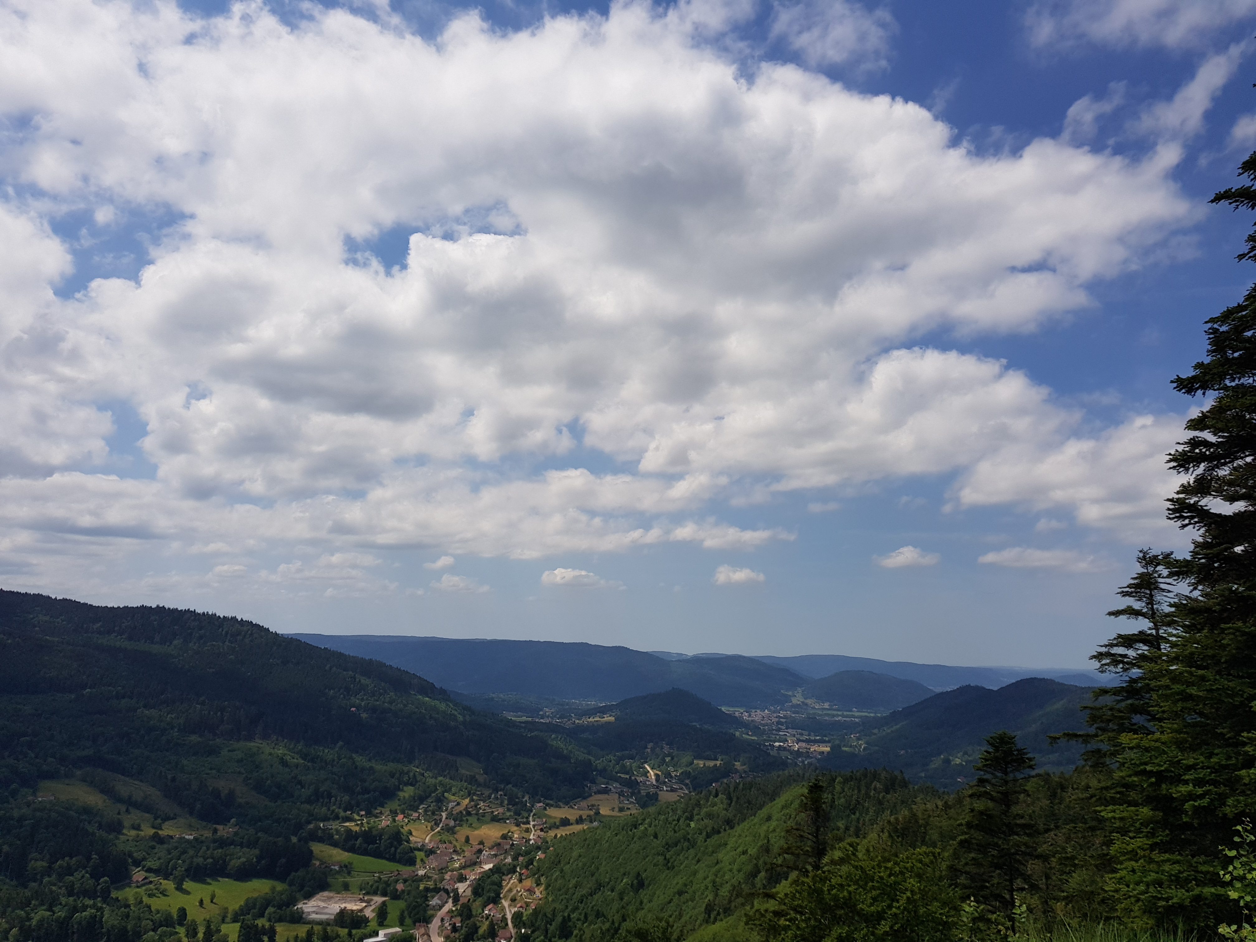 Photo n° 1 de l'avis de Sébastien.o fait le 03/07/2019 à 13:26