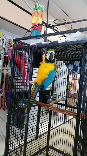 Pet Store «Species Pet Supply», reviews and photos, 1935 W Brandon Blvd, Brandon, FL 33511, USA
