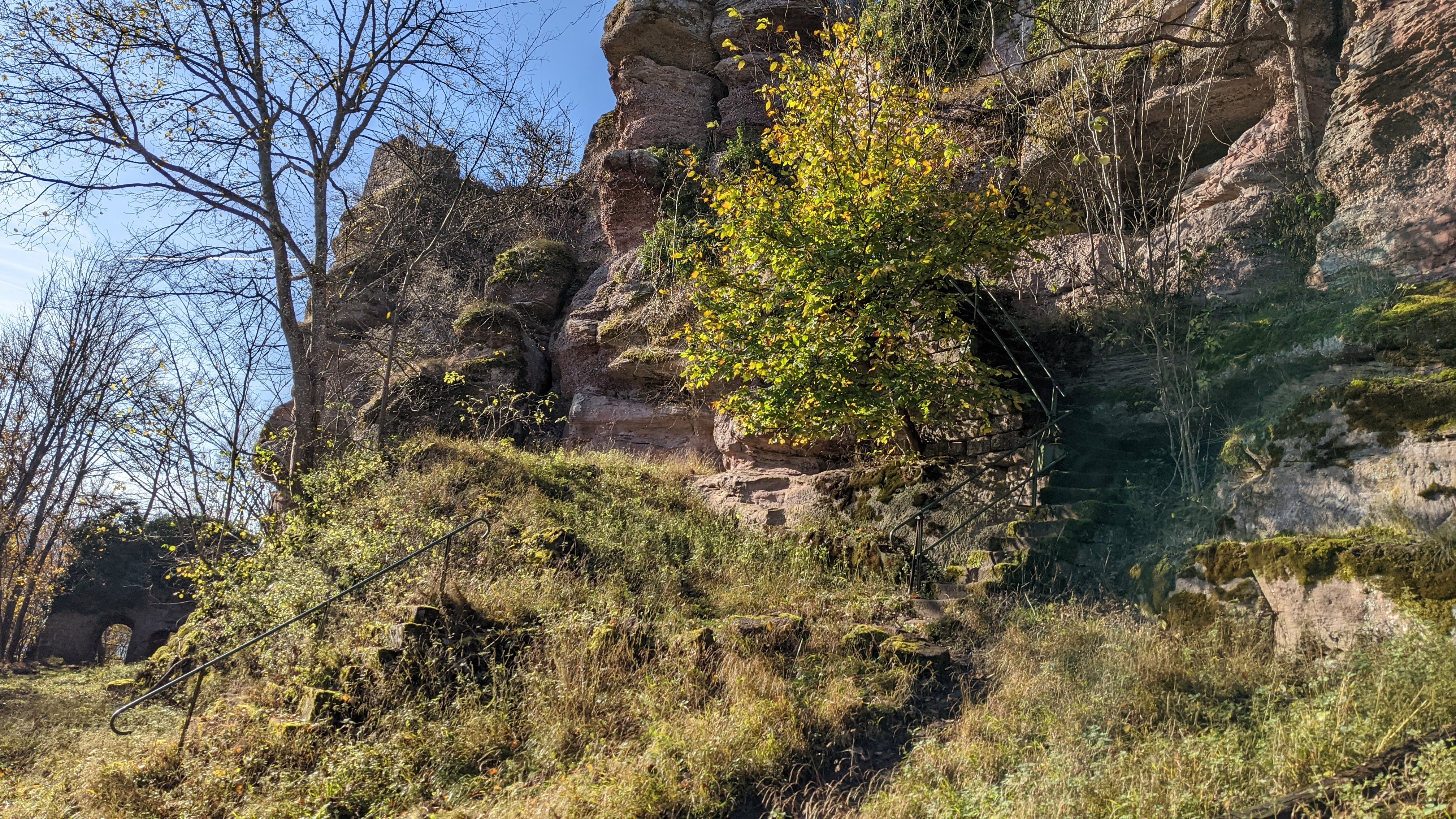 Photo n° 8 de l'avis de Frederic.l fait le 12/11/2021 à 14:20
