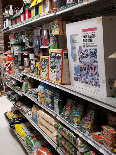 Tropical Fish Store «Pet Friendly Inc», reviews and photos, 845 Manitou Rd, Hilton, NY 14468, USA