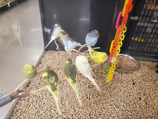Pet Supply Store «PetSmart», reviews and photos, 1734 Walden Ave, Cheektowaga, NY 14225, USA