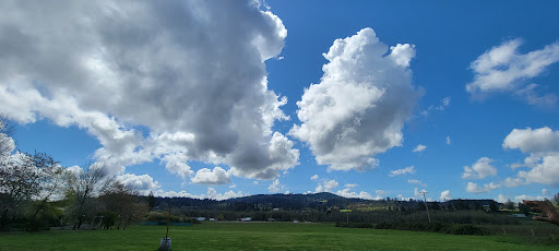 Wedding Venue «The Water Oasis», reviews and photos, 15055 NE Dopp Rd, Newberg, OR 97132, USA