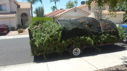 Park «Turtle Rock Park», reviews and photos, 17414 N 12th St, Phoenix, AZ 85022, USA