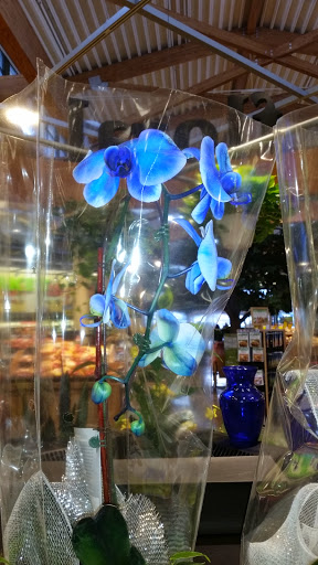 Grocery Store «Hannaford Supermarket», reviews and photos, 1490 U.S. 9, Wappingers Falls, NY 12590, USA