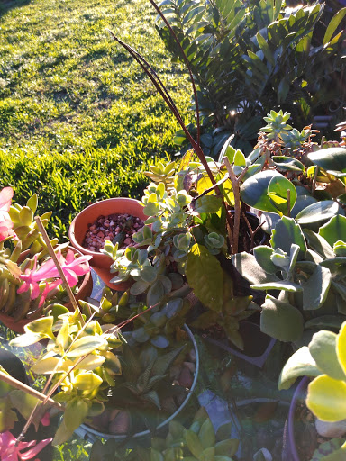 Hardware Store «Ace Hardware», reviews and photos, 3636 S Washington Ave, Titusville, FL 32780, USA