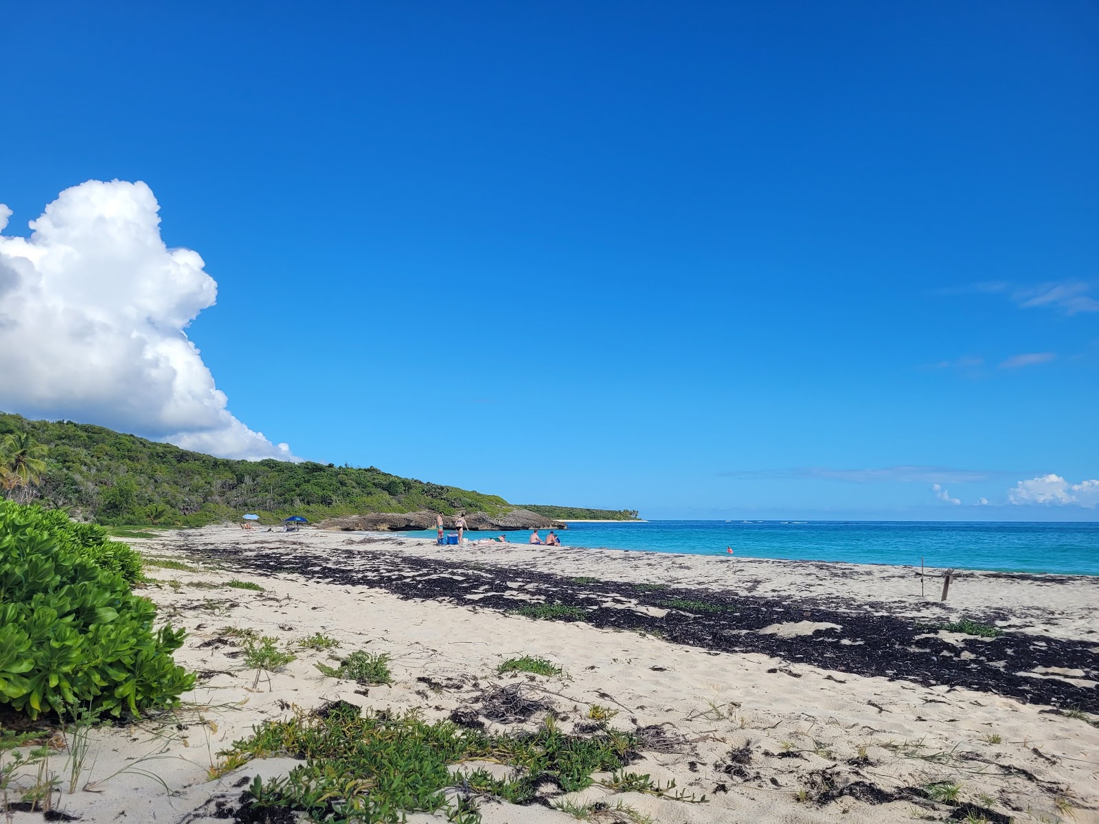Navio beach'in fotoğrafı çok temiz temizlik seviyesi ile