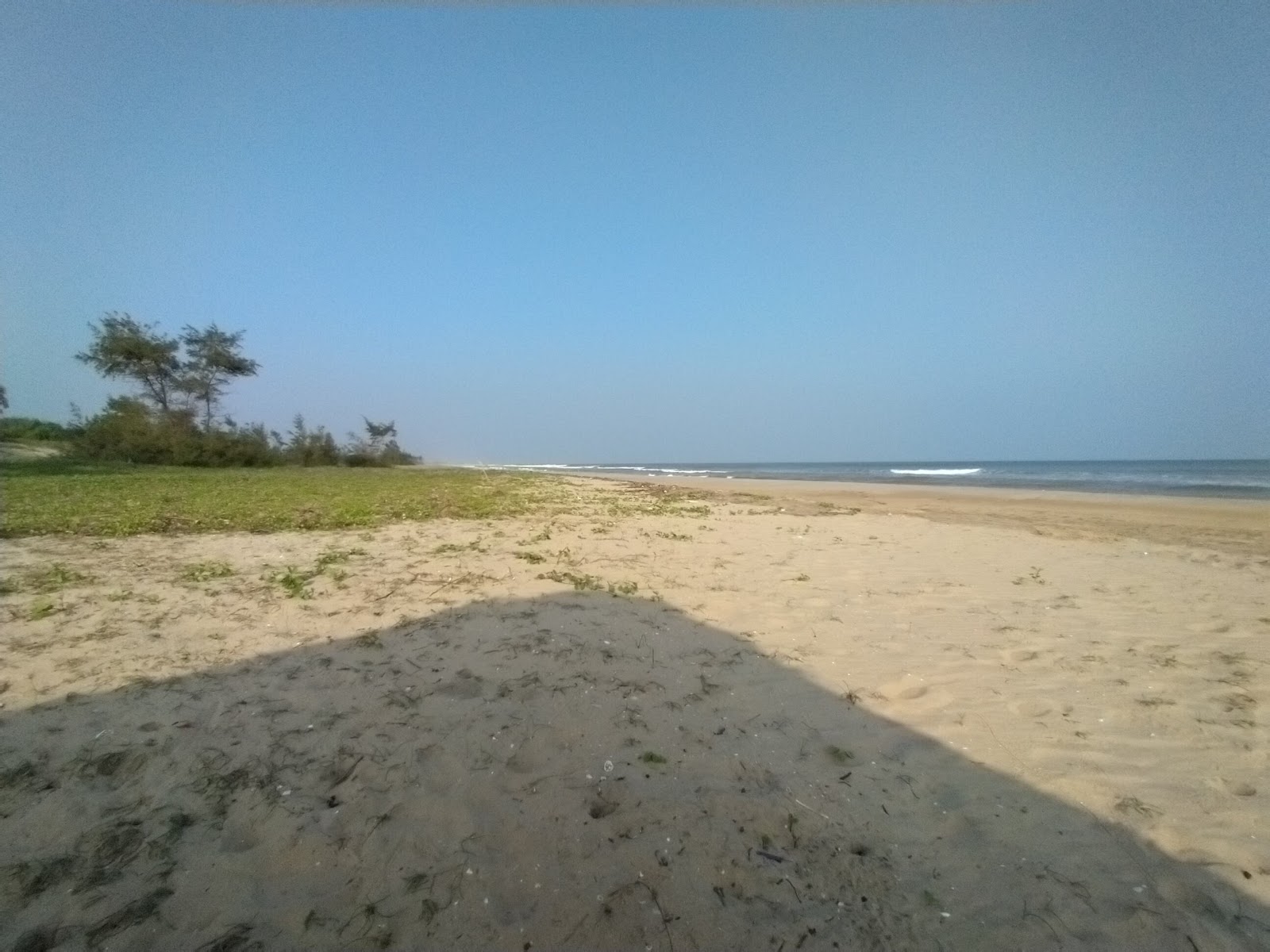 Φωτογραφία του Island Beach με επίπεδο καθαριότητας εν μέρει καθαρό