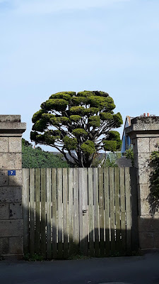 Locmariaquer à Locmariaquer