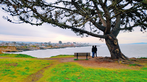 Tourist Attraction «Natural Bridges Monarch Trail», reviews and photos, 2531 W Cliff Dr, Santa Cruz, CA 95060, USA