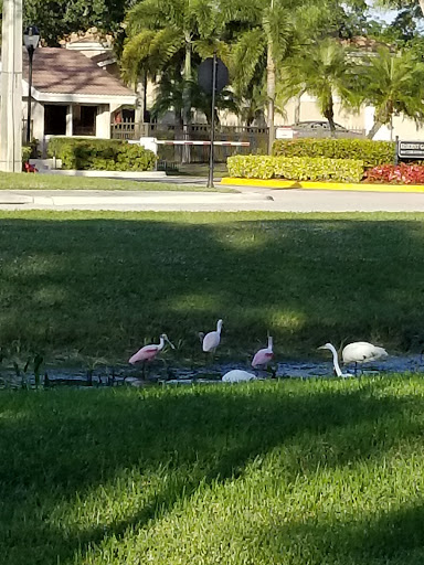 Golf Club «Old Marsh Golf Club», reviews and photos, 7500 Old Marsh Rd, Palm Beach Gardens, FL 33418, USA