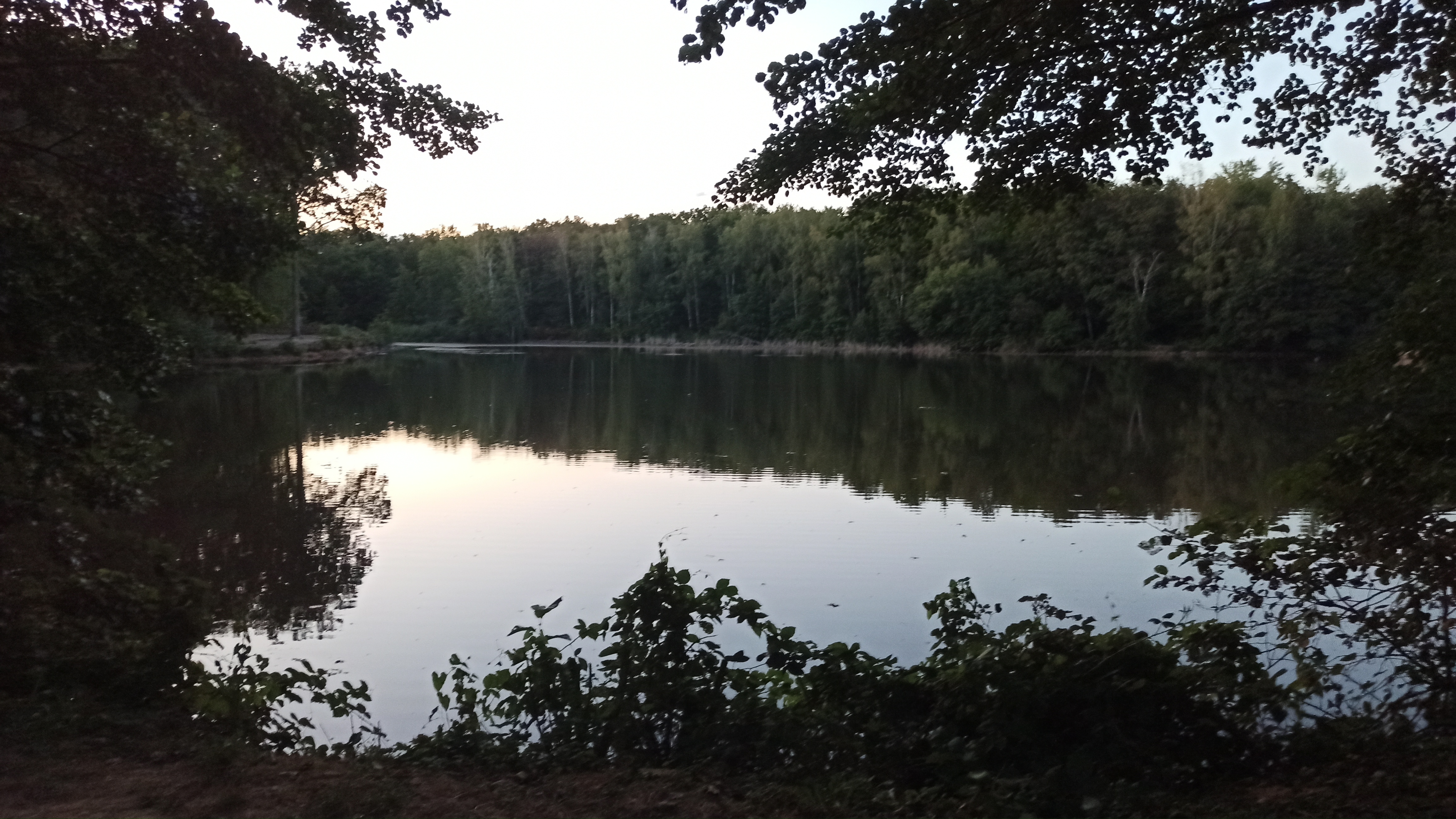 Photo n° 2 de l'avis de Auré.i fait le 20/08/2020 à 20:38