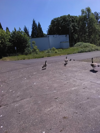 Park «Island Park», reviews and photos, 200 W B St, Springfield, OR 97477, USA