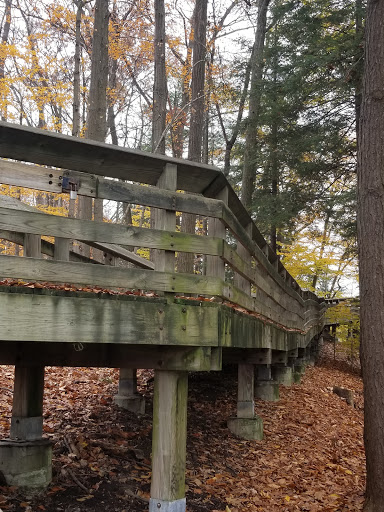 Tourist Attraction «Brandywine Gorge Trail», reviews and photos, 8176 Brandywine Rd, Sagamore Hills, OH 44067, USA