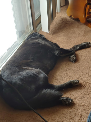 Pet Supply Store «Petco Animal Supplies», reviews and photos, 16095 W Bluemound Rd, Brookfield, WI 53005, USA