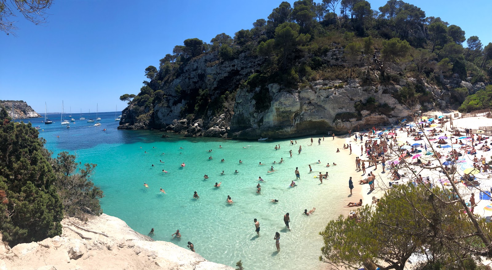 Cala Macarelleta photo #7