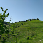 Photo n°16 de l'avis de Mauro.a fait le 26/04/2018 à 09:25 sur le  Ronca Ca' di Paola à Monte San Pietro