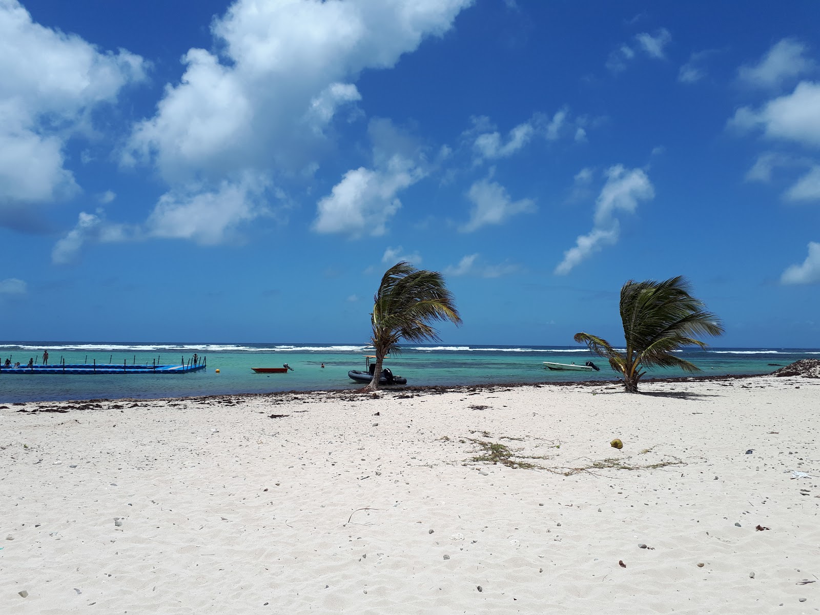 Plage a Fifi'in fotoğrafı imkanlar alanı