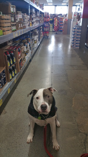 Grocery Store «Grocery Outlet Bargain Market», reviews and photos, 3020 NE 127th St, Seattle, WA 98125, USA