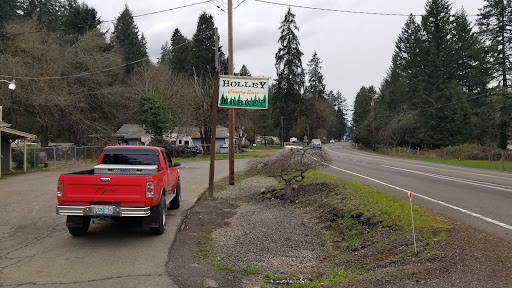 Grocery Store «Holley Market», reviews and photos, 40190 OR-228, Sweet Home, OR 97386, USA