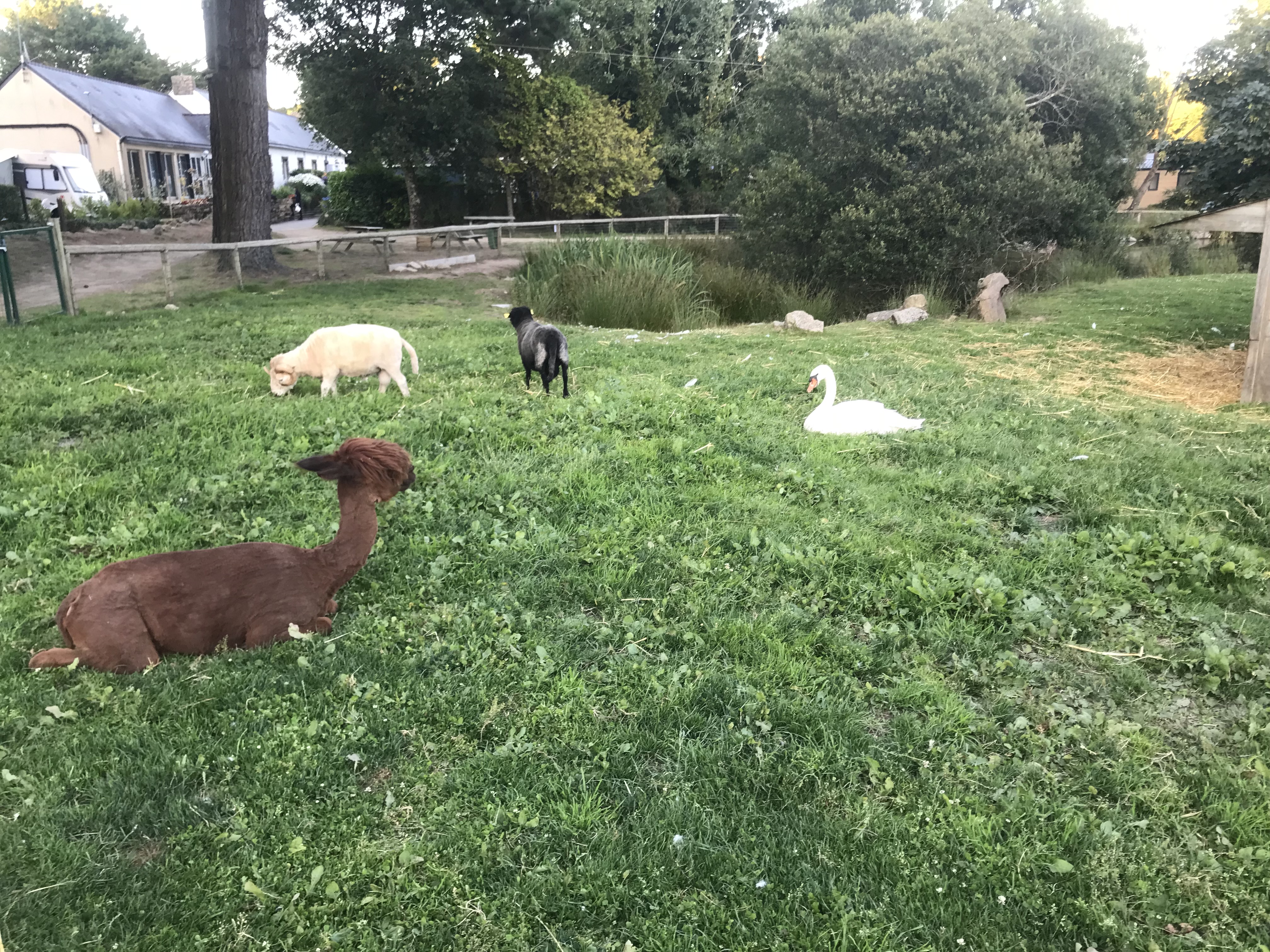 Photo n° 6 de l'avis de Vincent.e fait le 10/10/2021 à 14:04