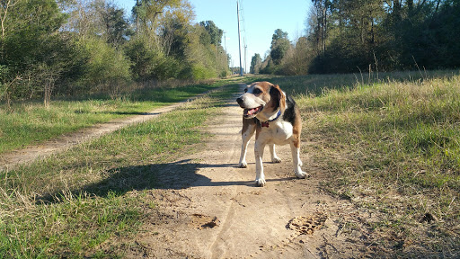 Park «Cy-Champ Park», reviews and photos, 14619 Cutten Rd, Houston, TX 77070, USA